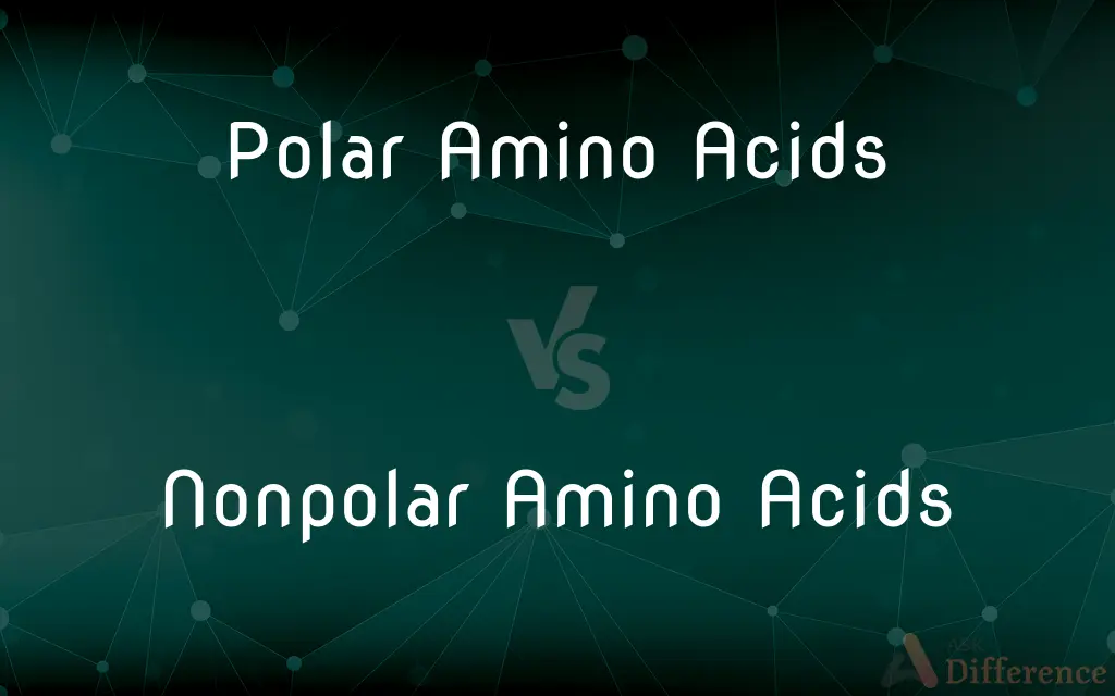 Polar Amino Acids vs. Nonpolar Amino Acids — What's the Difference?