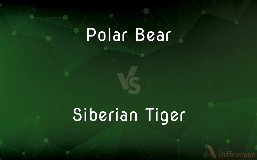 Polar Bear vs. Siberian Tiger — What's the Difference?