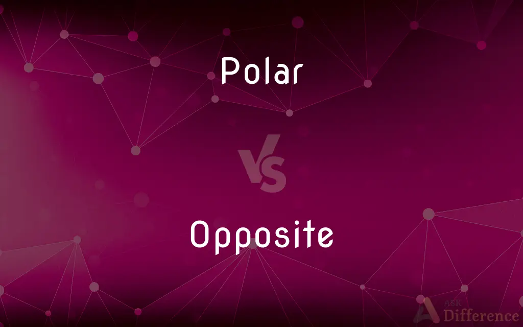 Polar vs. Opposite — What's the Difference?