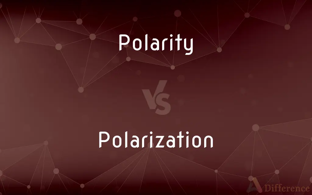 Polarity vs. Polarization — What's the Difference?
