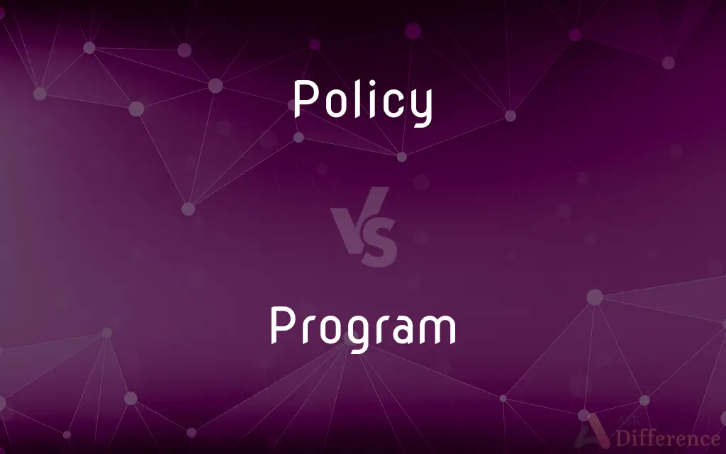 Policy vs. Program — What's the Difference?