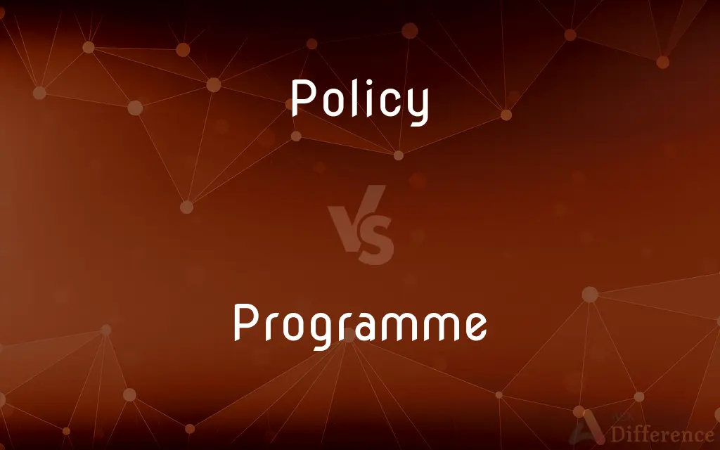 Policy vs. Programme — What's the Difference?