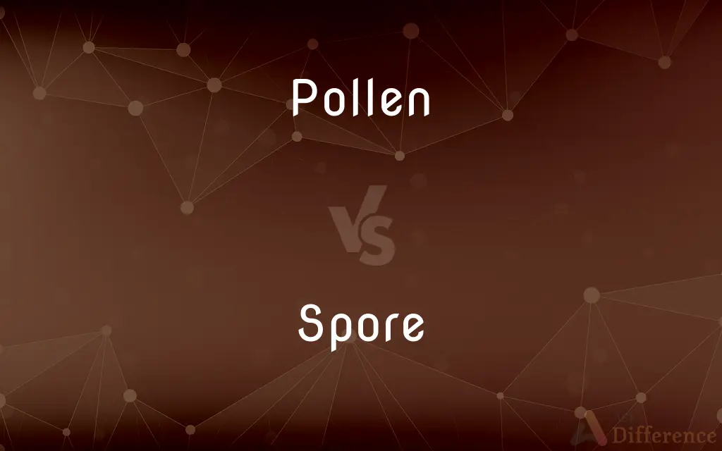 Pollen vs. Spore — What's the Difference?