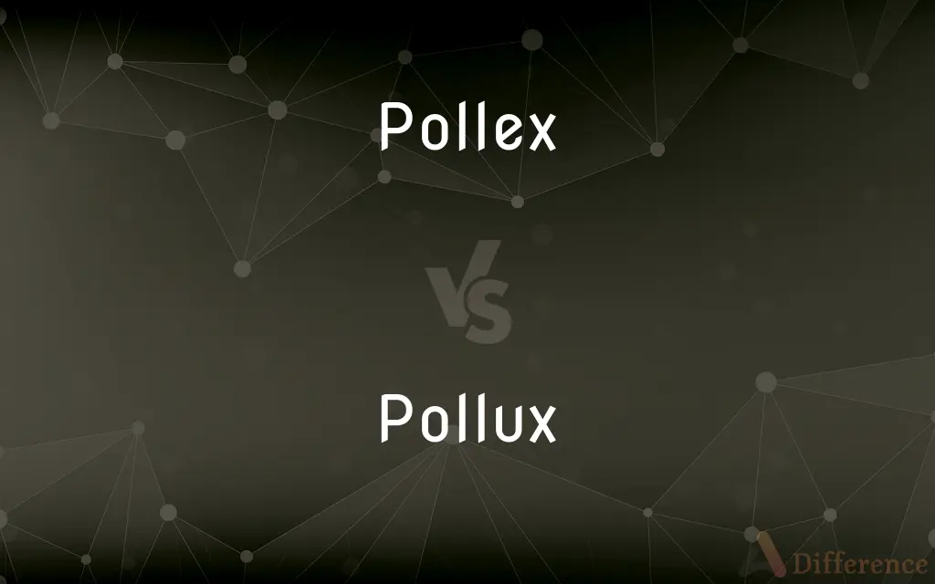 Pollex vs. Pollux — What's the Difference?