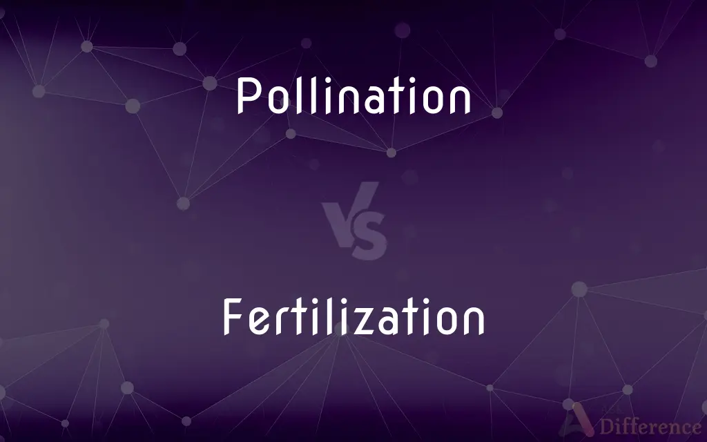 Pollination vs. Fertilization — What's the Difference?