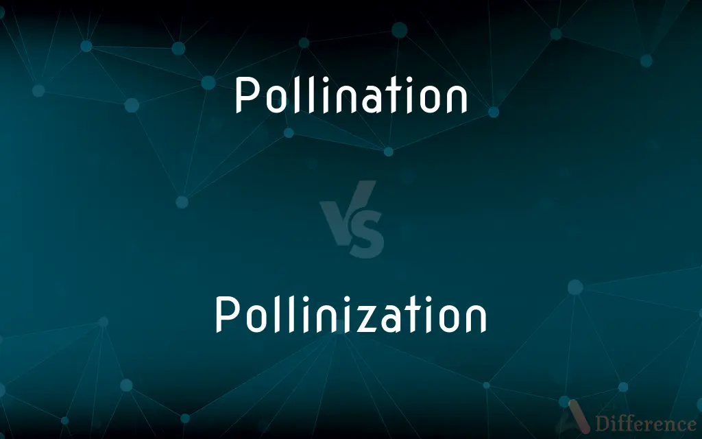 Pollination vs. Pollinization — What's the Difference?