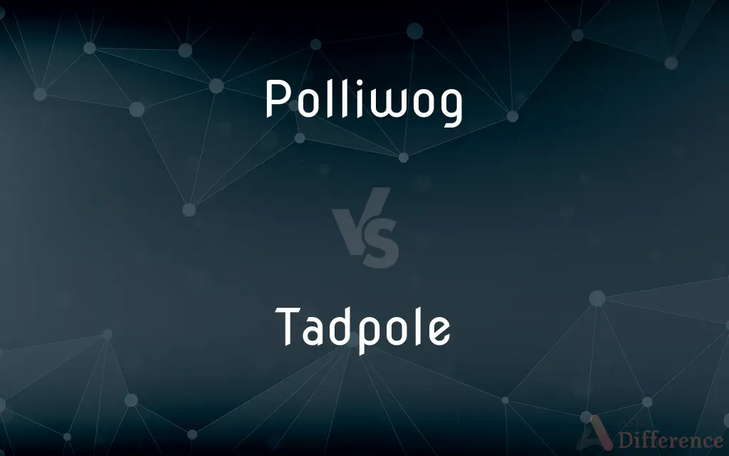 Polliwog vs. Tadpole — What's the Difference?
