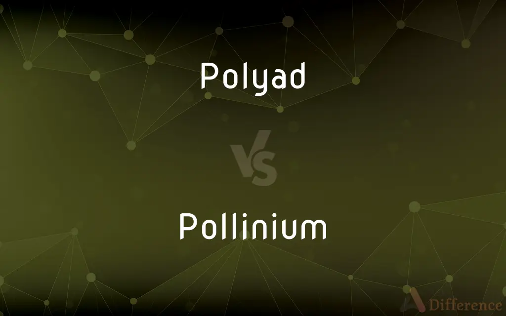 Polyad vs. Pollinium — What's the Difference?