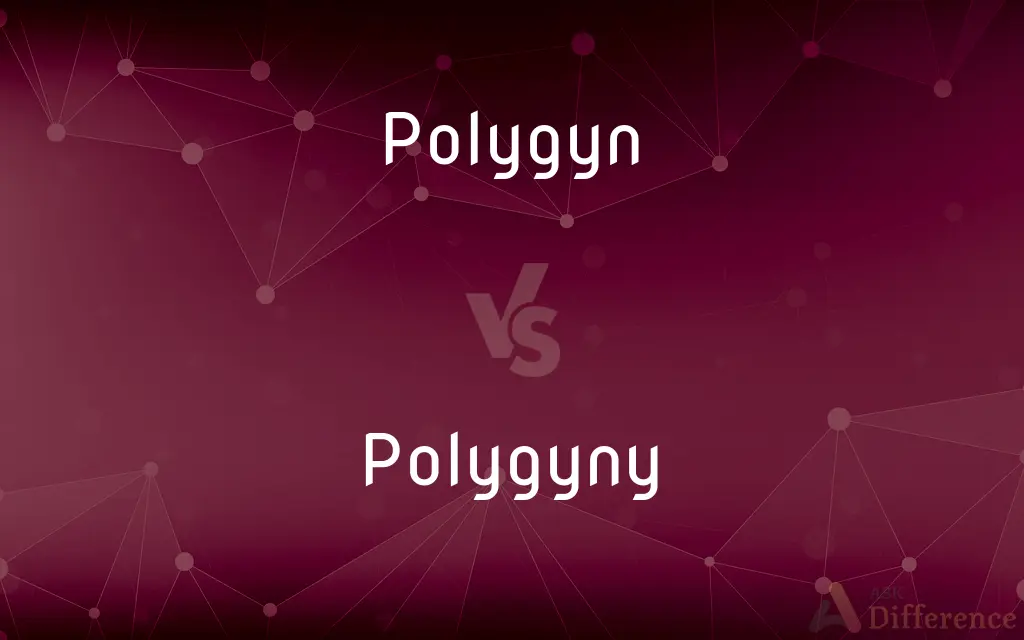 Polygyn vs. Polygyny — What's the Difference?
