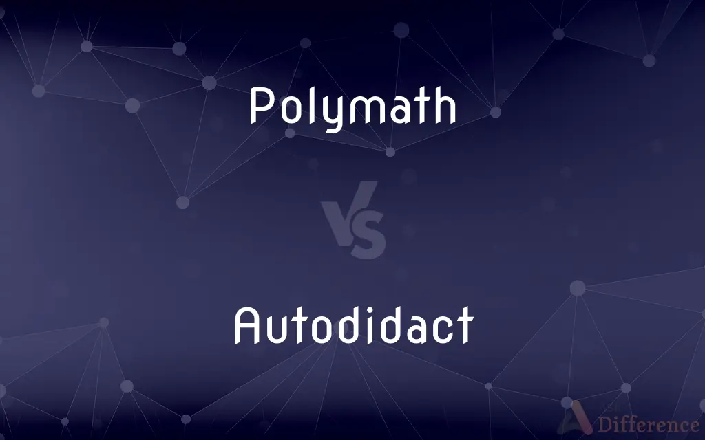 Polymath vs. Autodidact — What's the Difference?