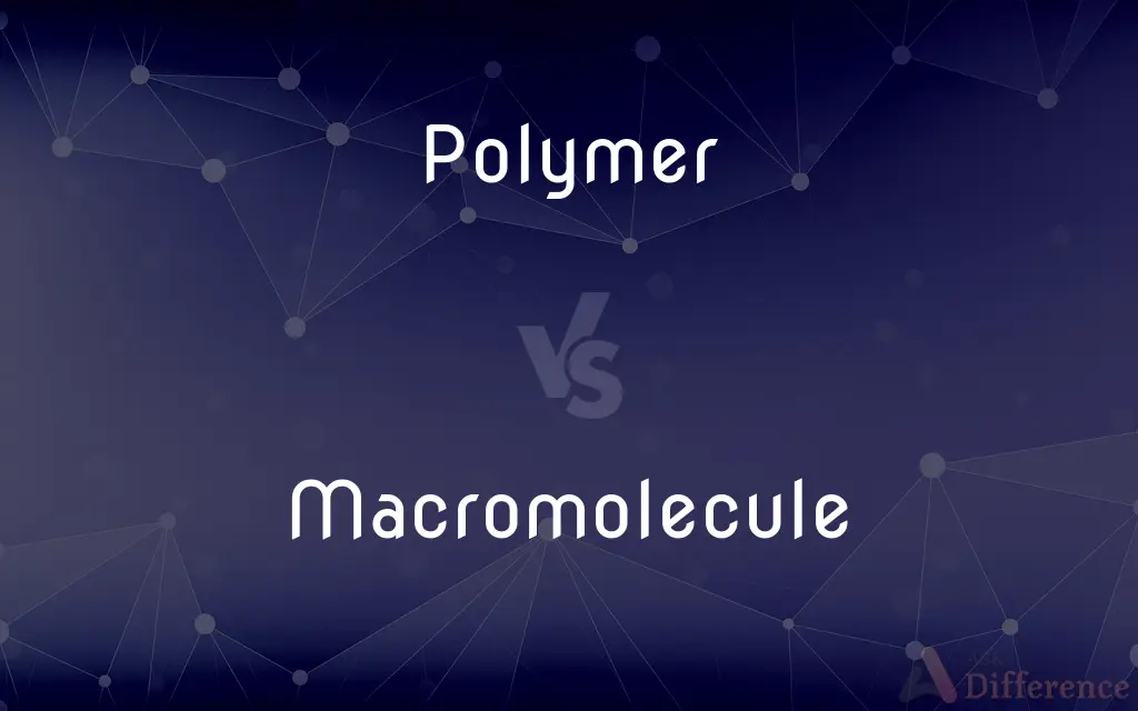 Polymer vs. Macromolecule — What's the Difference?