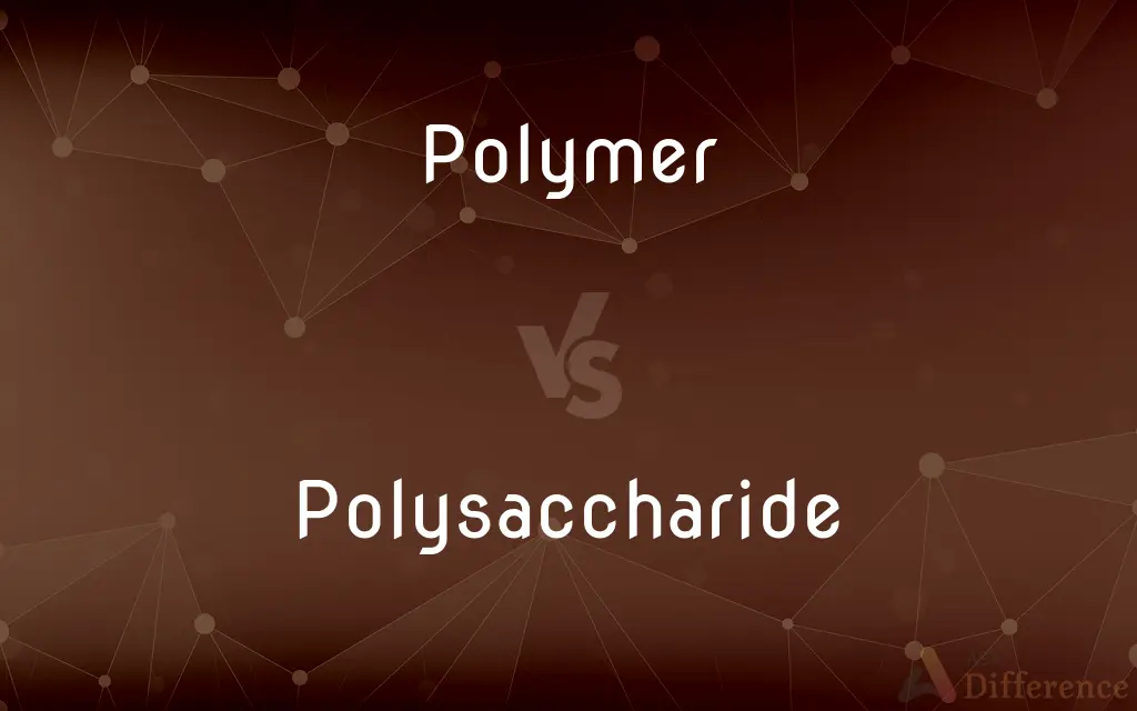 Polymer vs. Polysaccharide — What's the Difference?