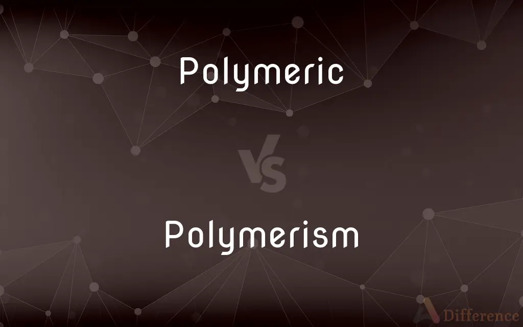 Polymeric vs. Polymerism — What's the Difference?
