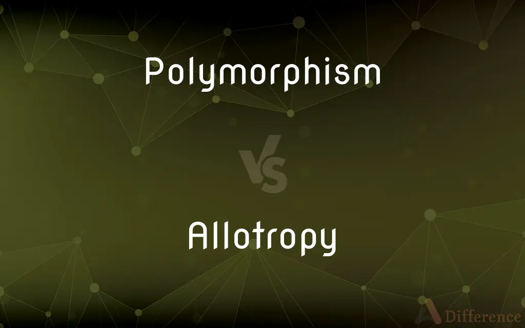 Polymorphism vs. Allotropy — What's the Difference?