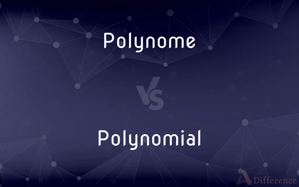 Polynome vs. Polynomial — What's the Difference?