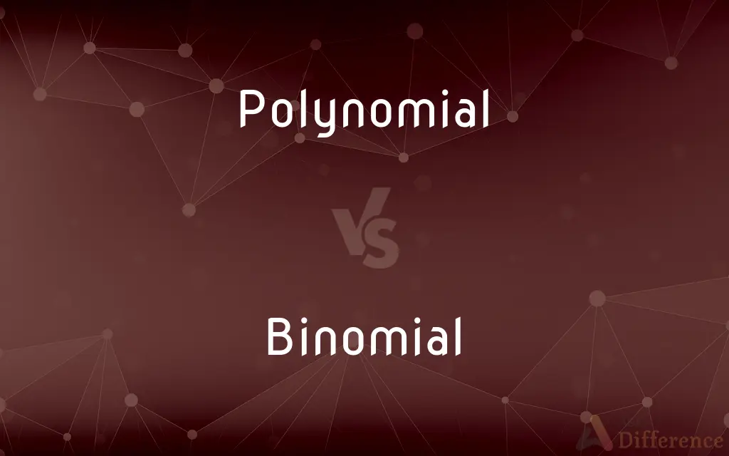 Polynomial vs. Binomial — What's the Difference?