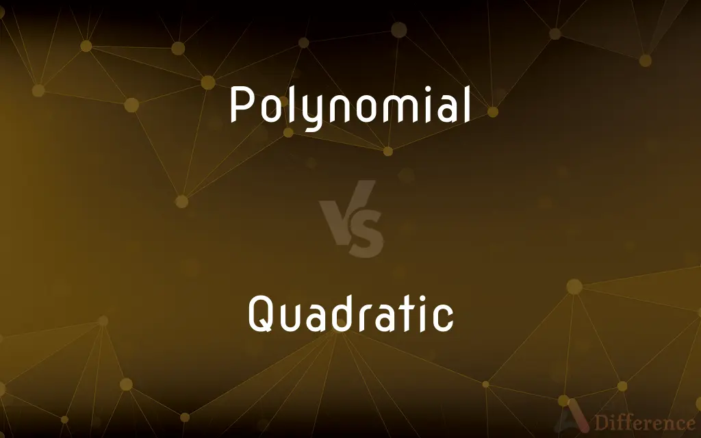 Polynomial vs. Quadratic — What's the Difference?