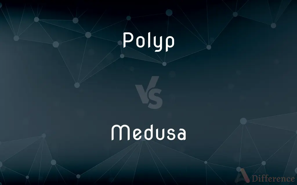 Polyp vs. Medusa — What's the Difference?