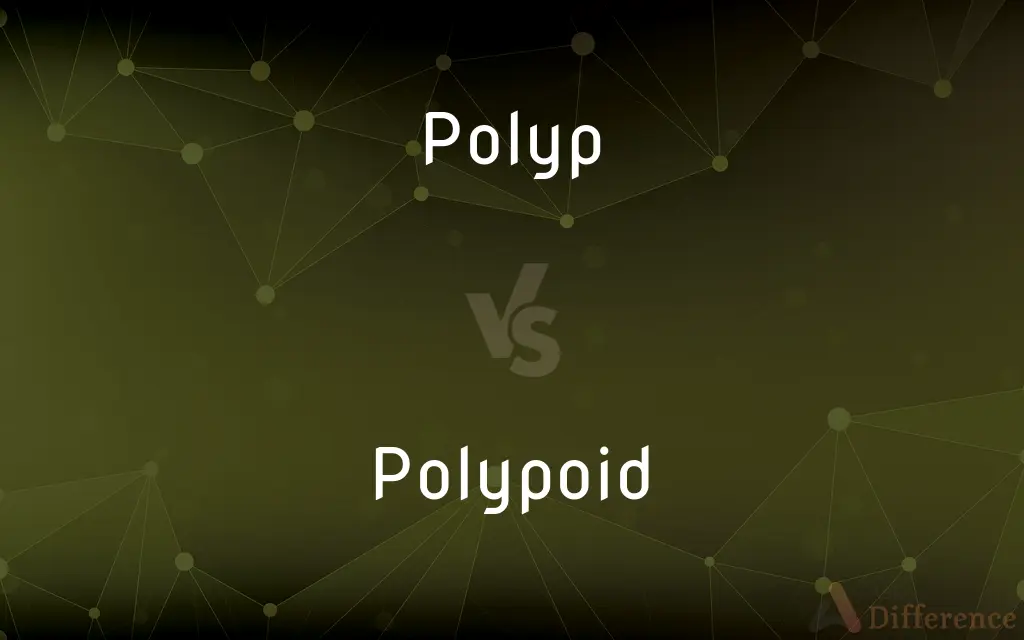 Polyp vs. Polypoid — What's the Difference?