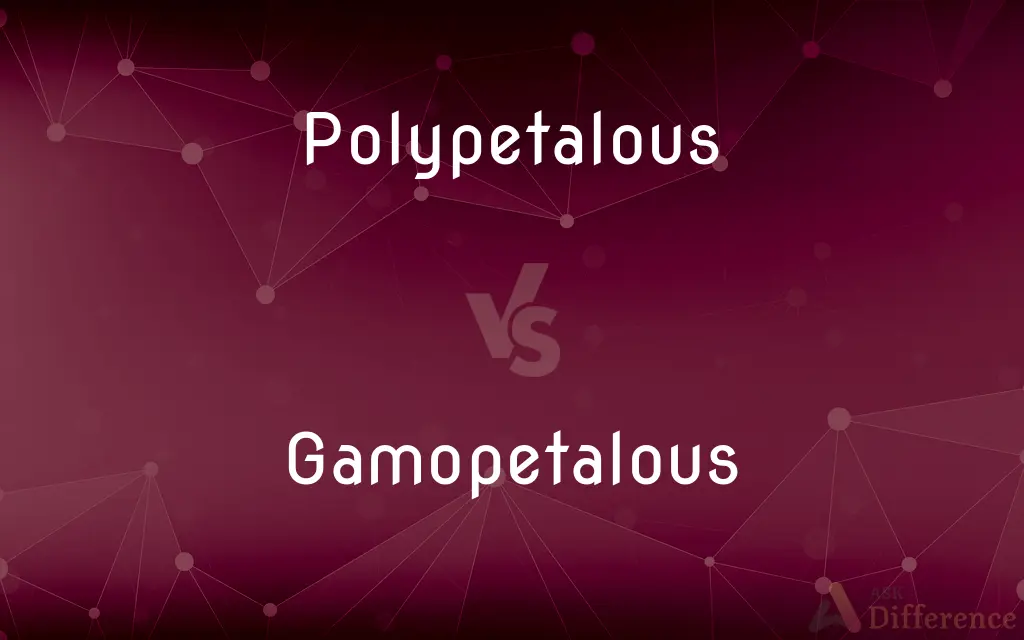 Polypetalous vs. Gamopetalous — What's the Difference?