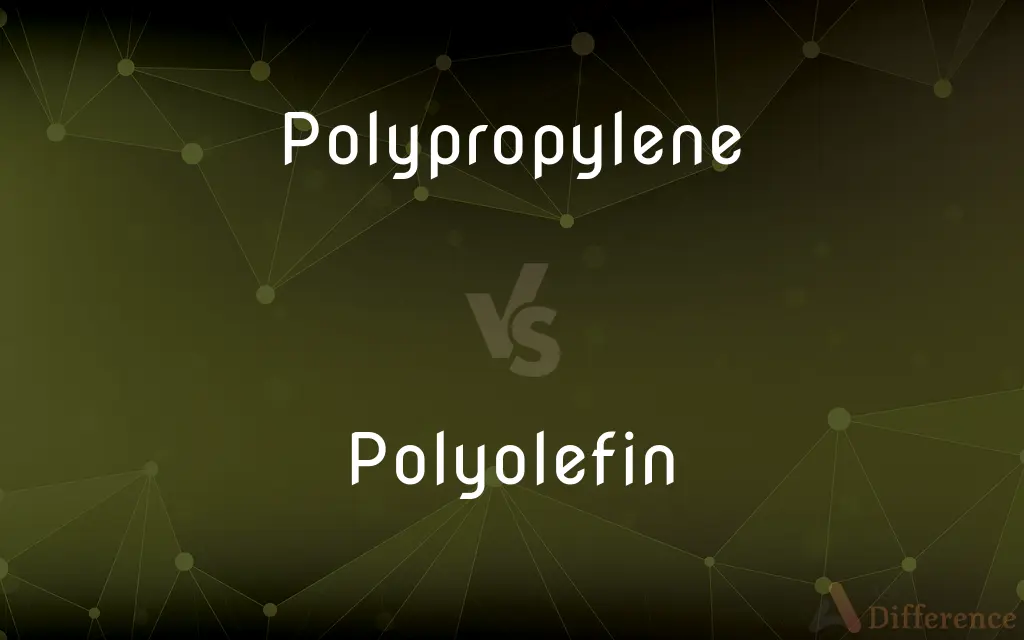 Polypropylene vs. Polyolefin — What's the Difference?