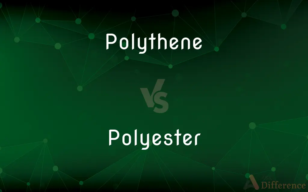Polythene vs. Polyester — What's the Difference?