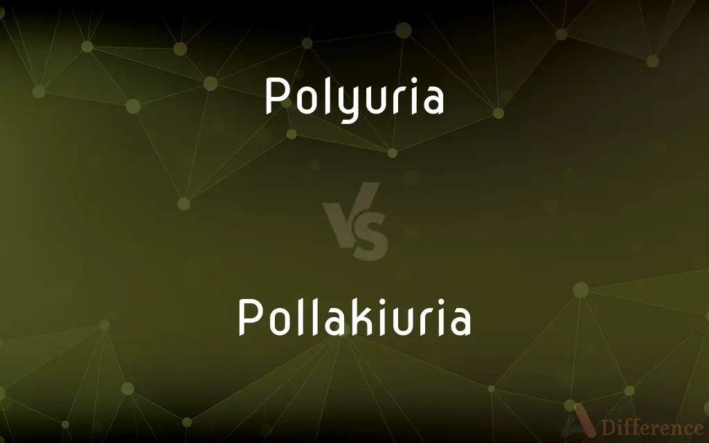 Polyuria vs. Pollakiuria — What's the Difference?