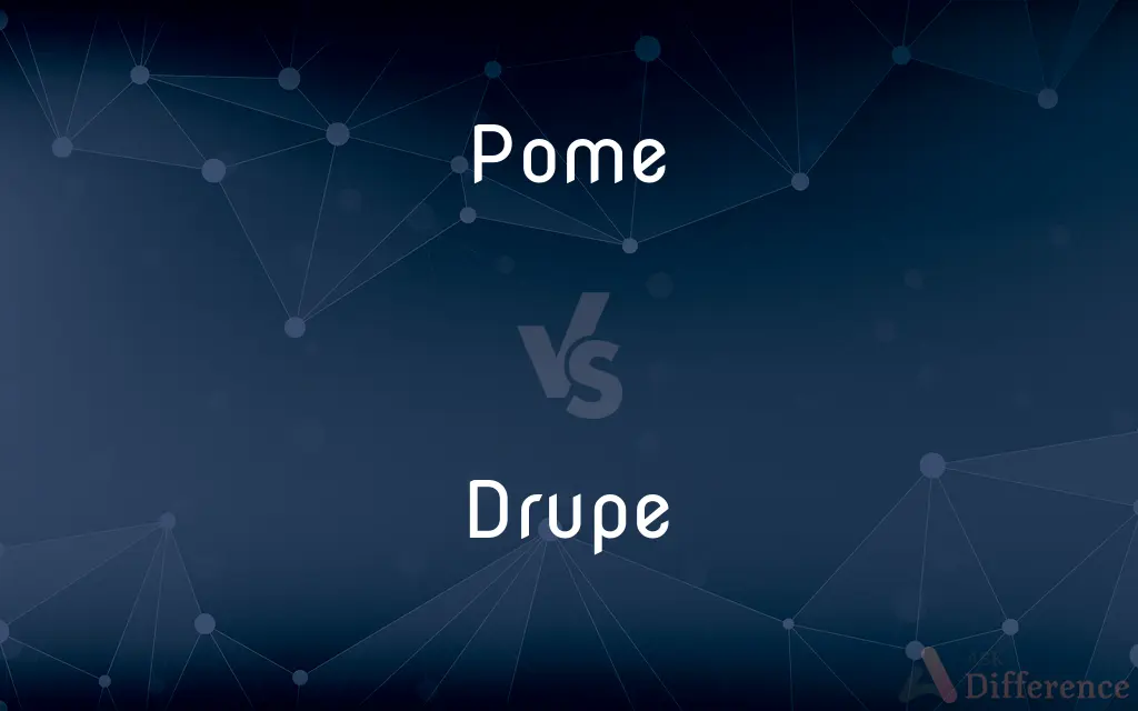 Pome vs. Drupe — What's the Difference?