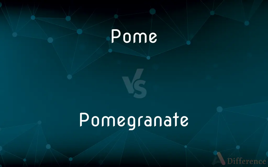 Pome vs. Pomegranate — What's the Difference?