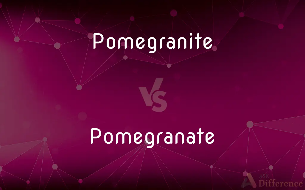 Pomegranite vs. Pomegranate — Which is Correct Spelling?