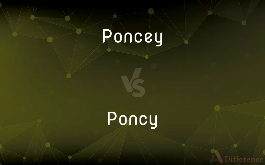 Poncey vs. Poncy — What's the Difference?