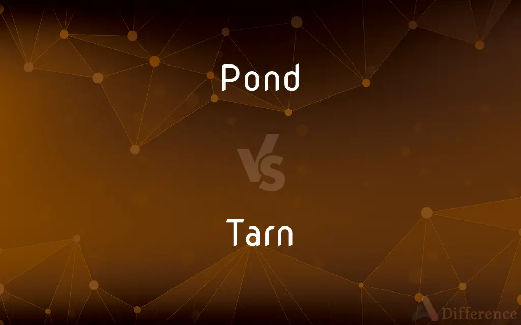 Pond vs. Tarn — What's the Difference?
