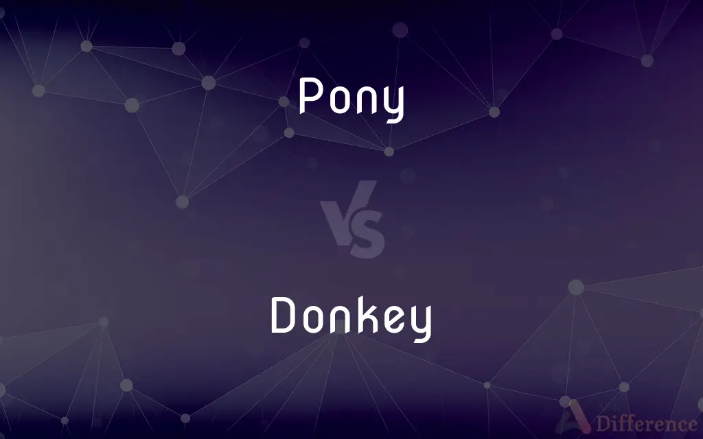 Pony vs. Donkey — What's the Difference?