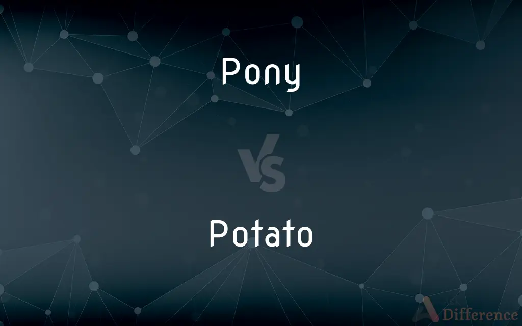 Pony vs. Potato — What's the Difference?