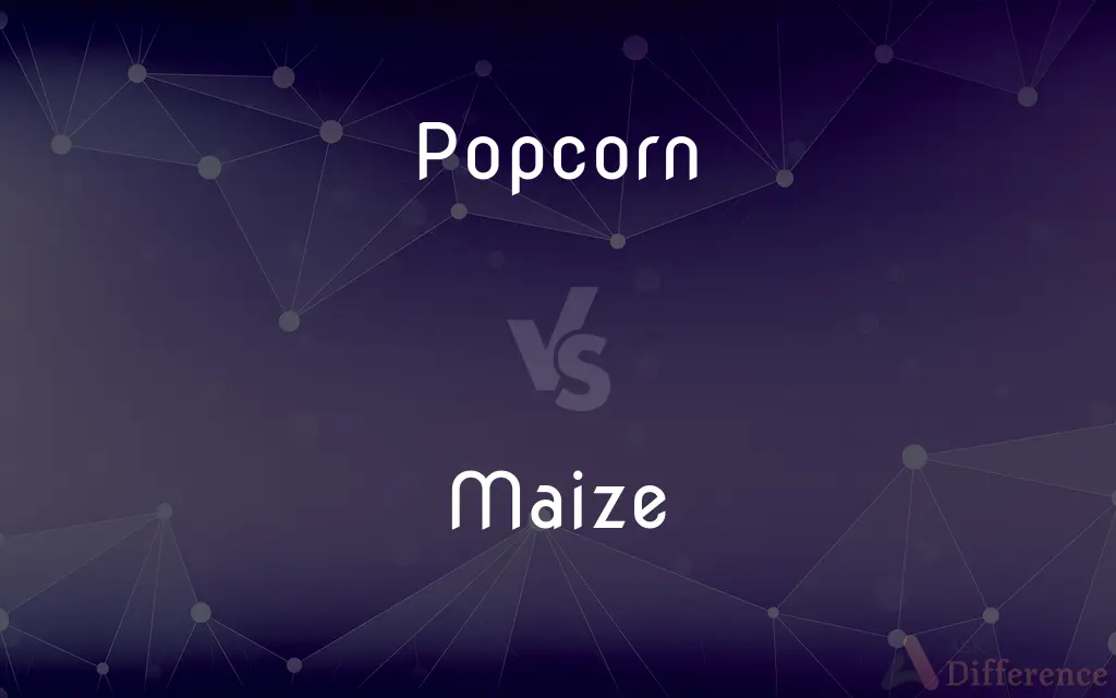 Popcorn vs. Maize — What's the Difference?