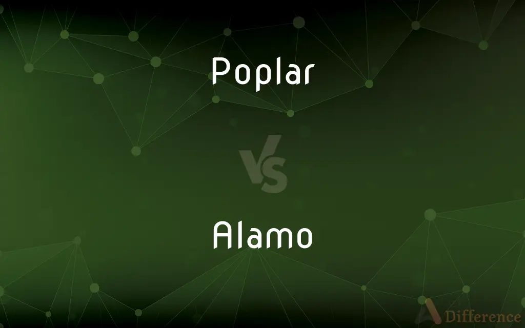 Poplar vs. Alamo — What's the Difference?