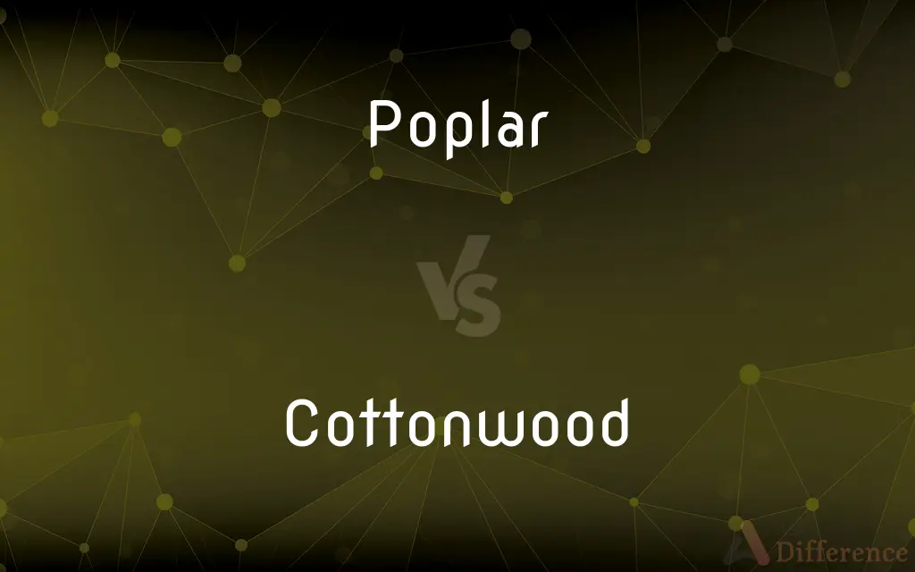 Poplar vs. Cottonwood — What's the Difference?