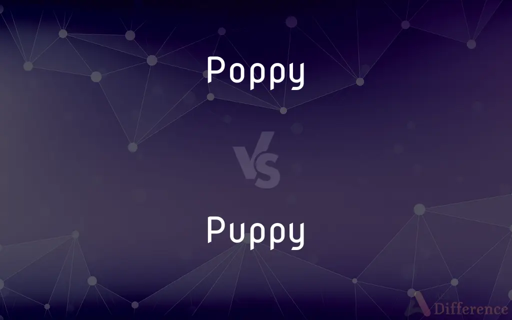 Poppy vs. Puppy — What's the Difference?