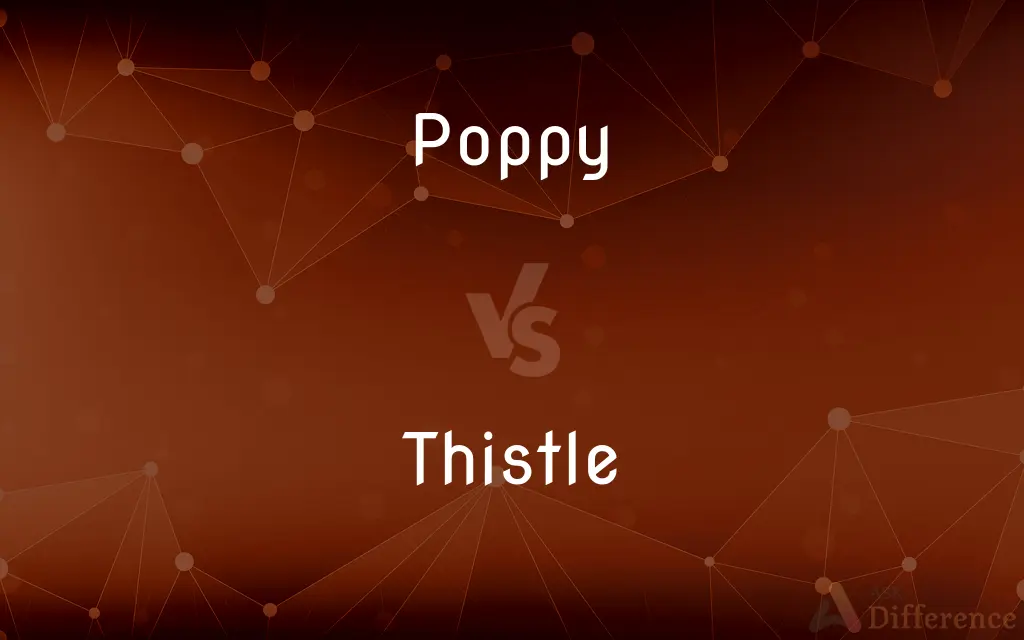 Poppy vs. Thistle — What's the Difference?