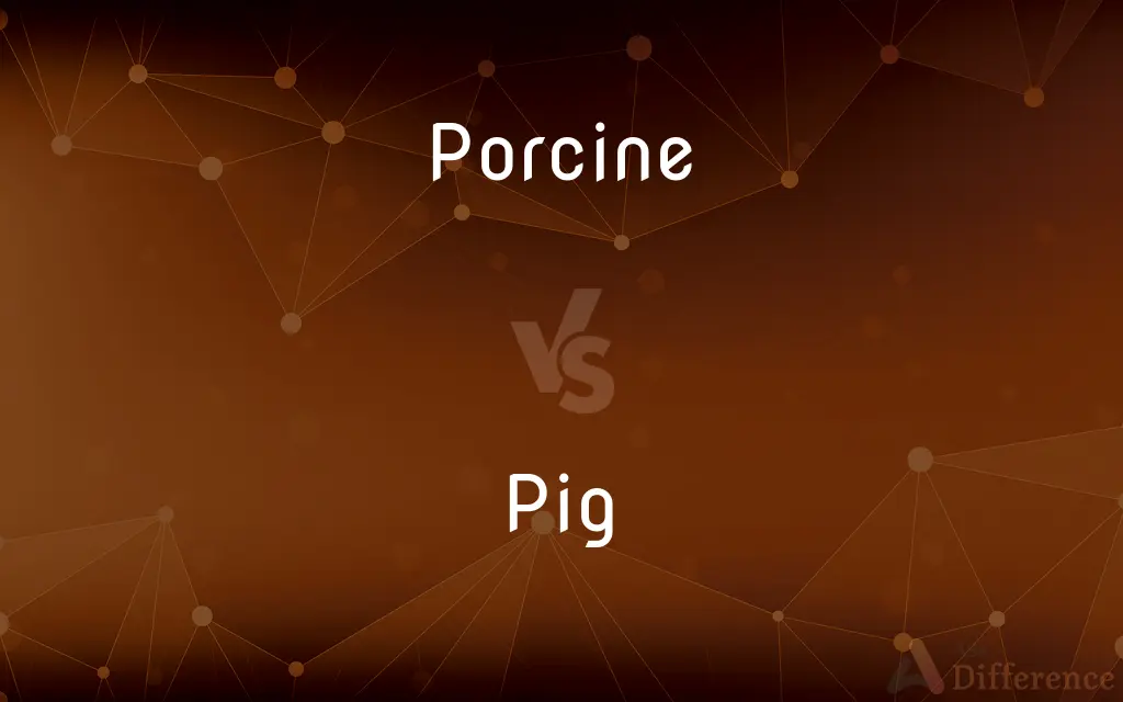 Porcine vs. Pig — What's the Difference?