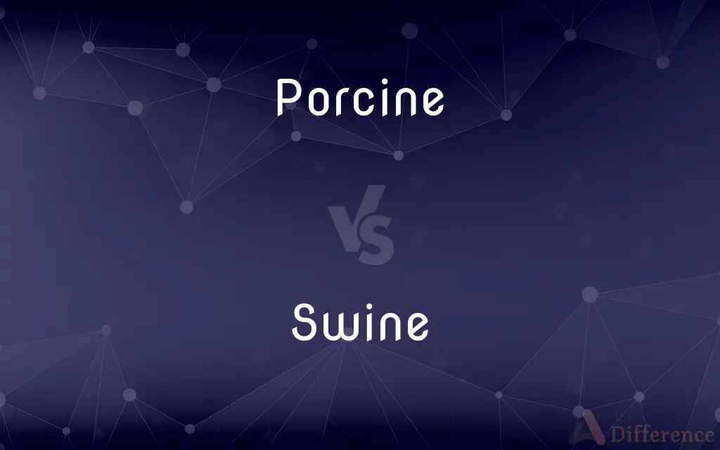Porcine vs. Swine — What's the Difference?
