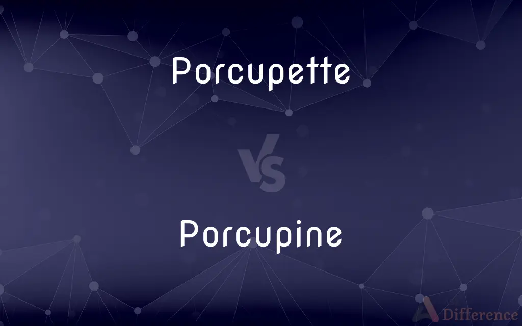 Porcupette vs. Porcupine — What's the Difference?