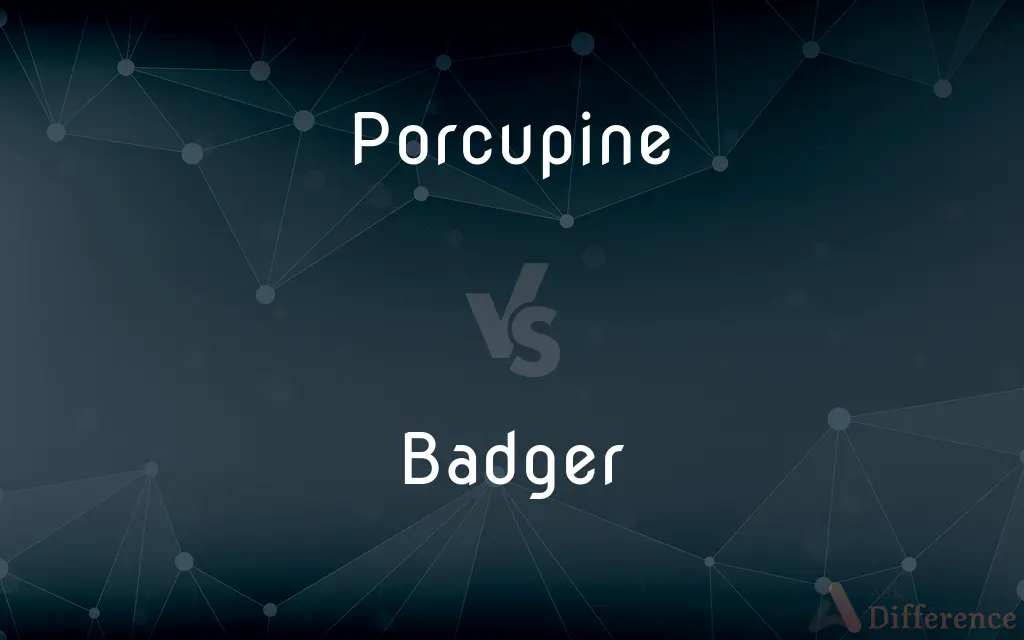 Porcupine vs. Badger — What's the Difference?