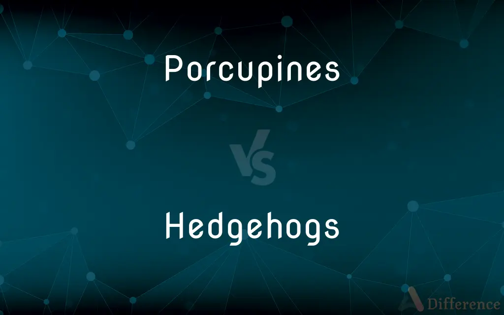 Porcupines vs. Hedgehogs — What's the Difference?