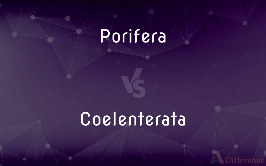 Porifera vs. Coelenterata — What's the Difference?
