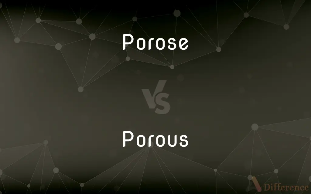 Porose vs. Porous — What's the Difference?