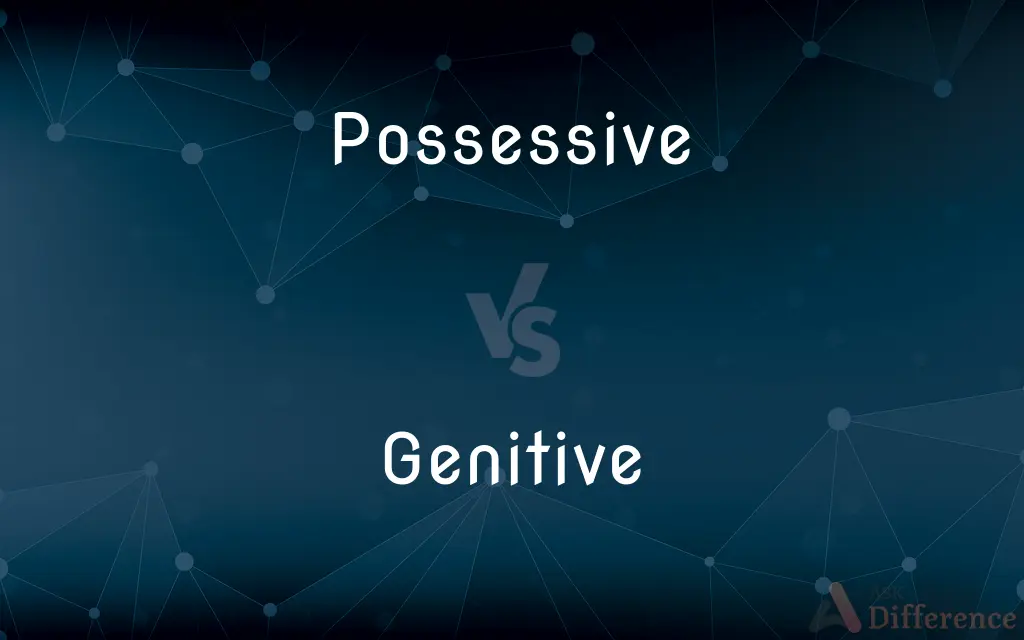 Possessive vs. Genitive — What's the Difference?