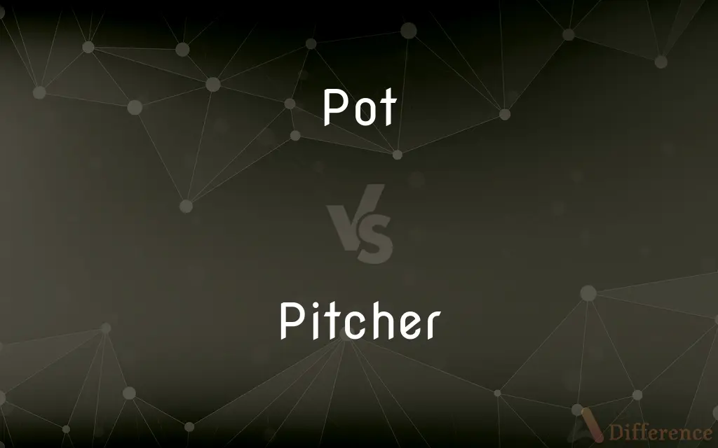 Pot vs. Pitcher — What's the Difference?