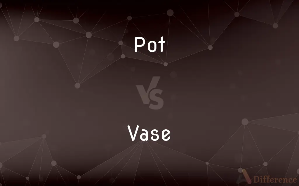 Pot vs. Vase — What's the Difference?