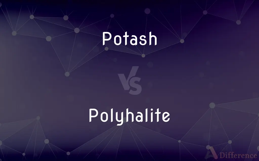Potash vs. Polyhalite — What's the Difference?